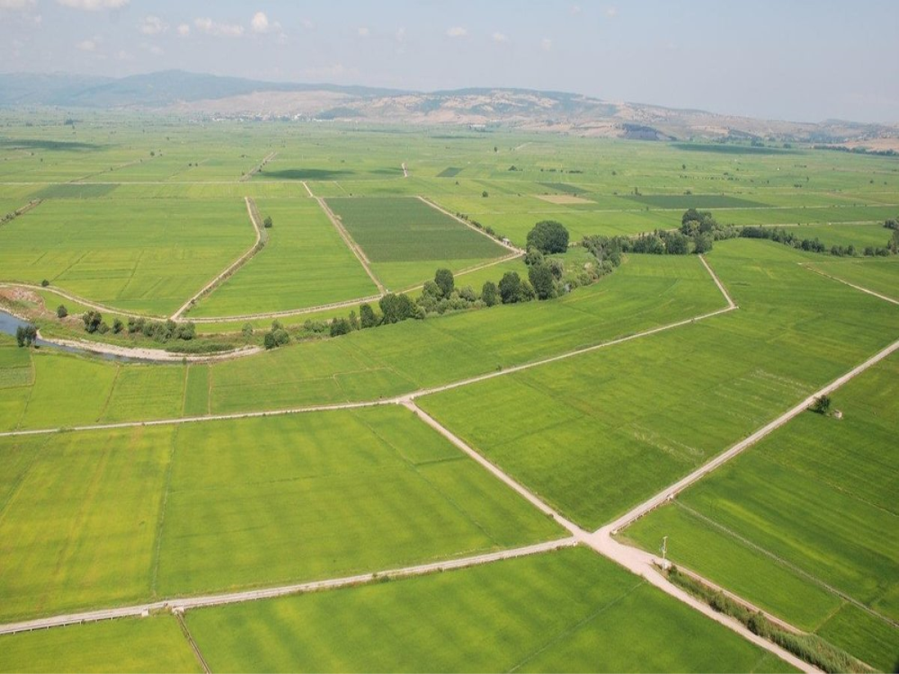 Arsa Yatırımlarında Dikkat Edilmesi Gereken  7 Önemli Nokta